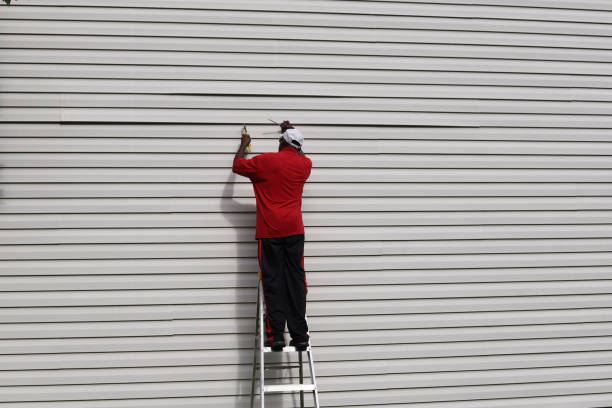 Best Composite Siding  in Mesita, NM